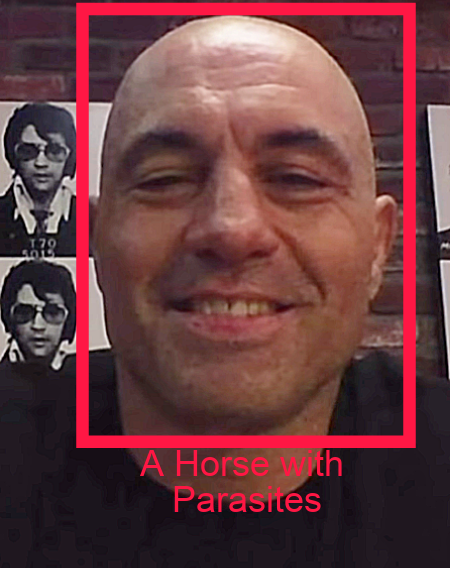 CNN Interpretation of Joe Rogan taking Ivermectin