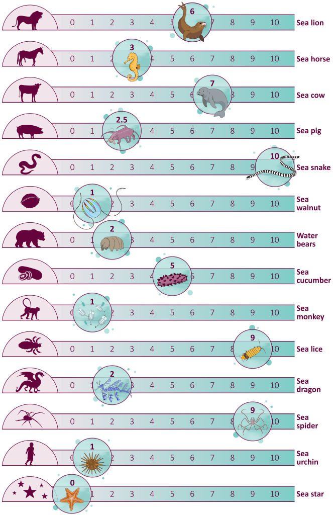 Sea Creature Classification Sea What I Mean: Taxonomic Inconsistencies in Oceanic Species - Journal ...